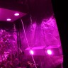 Гроубокс в сборе Джин 1200х1200х2000 + Гагарин 4 для выращивания марихуаны