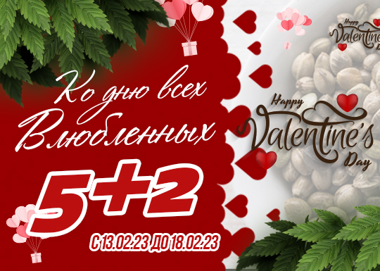 День Святого Валентина – «5+2»