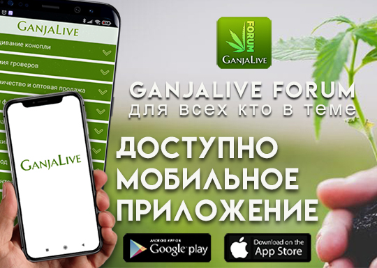 Бесплатное мобильное приложение «GanjaLive» – весь grow-мир на ладони